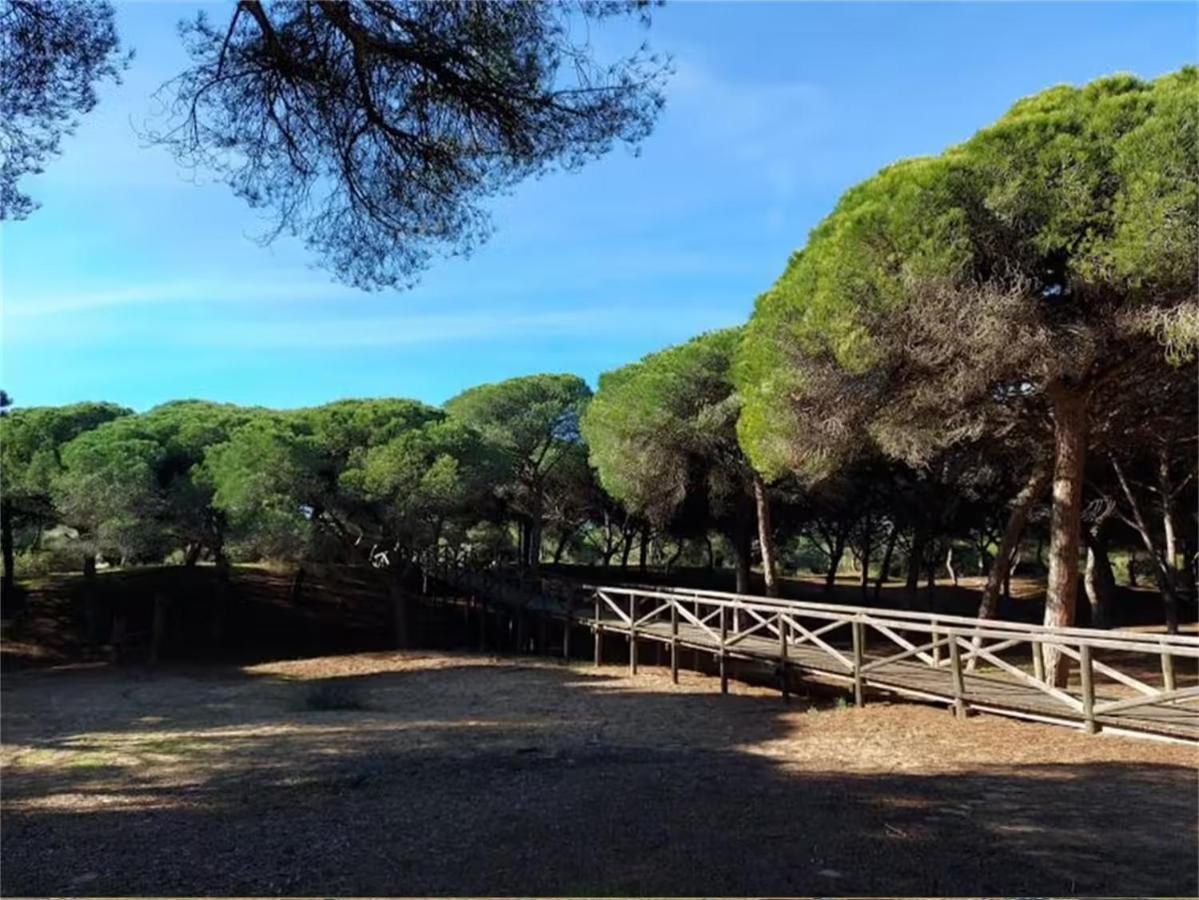 Rota Punta Candor Terrace Playa 3 Bajo C Exteriör bild